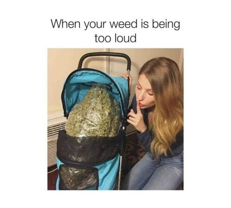 snapchat weed memes.